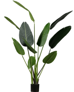 Planta artificial Strelitzia 164 cm